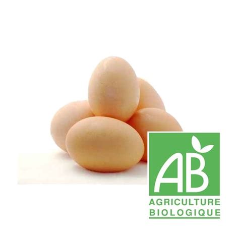 10 oeufs bio de plein air-