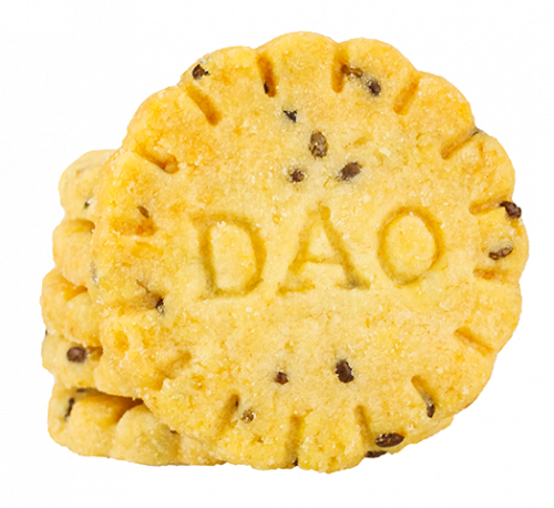 Biscuits DAO Parmesan Graines de chia