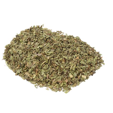 Estragon bio