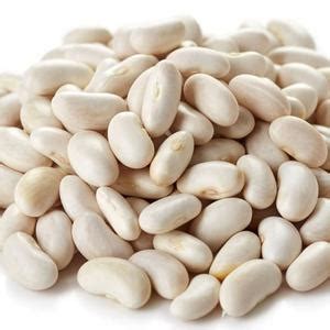 Haricots blancs bio