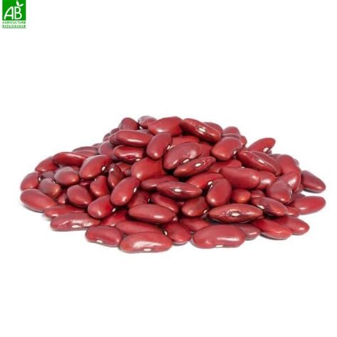 Haricots rouges bio