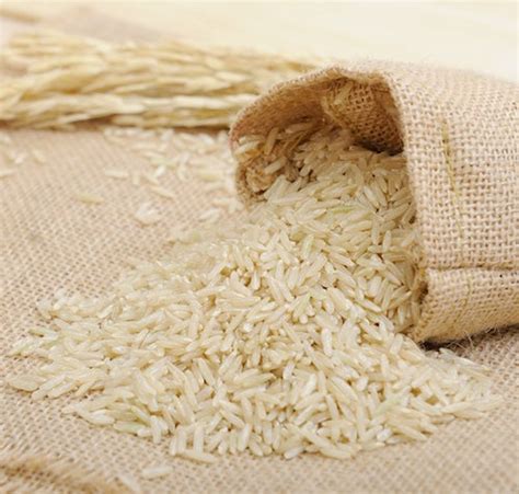 Riz long semi complet de Camargue Bio