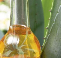 Sirop d'agave Bio