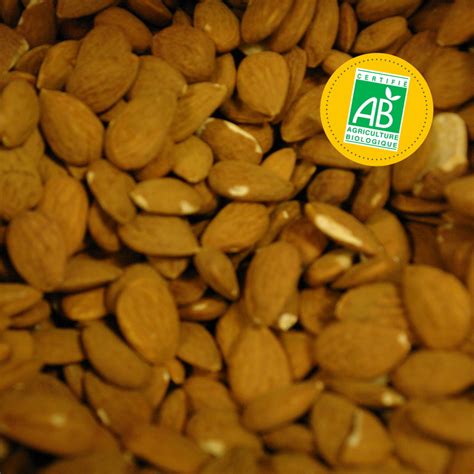Amandes décortiquées non salées Bio 100g