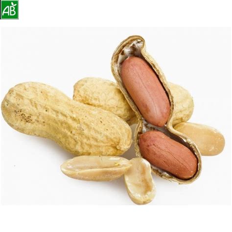 Arachides coque non salées Bio 100g