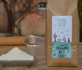 Farine T80 semi complète Bio 100g