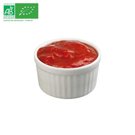 Ketchup Bio 100g