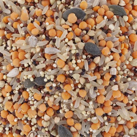Mélange des Incas Bio 100g
