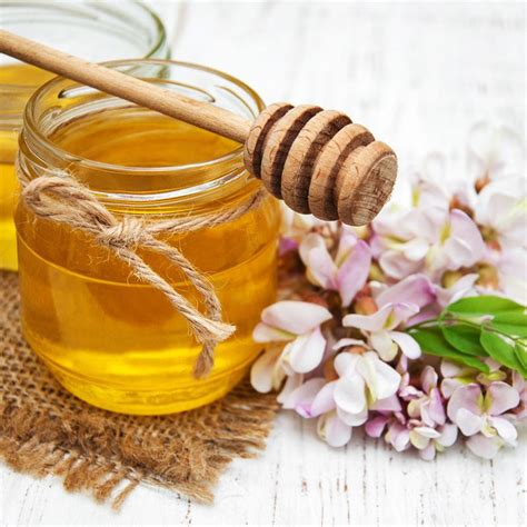 Miel d'acacia Bio 100g