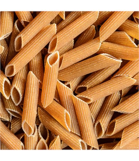 Penne complète Bio 100g