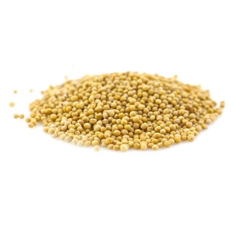 Moutarde jaune en graines Bio 10g