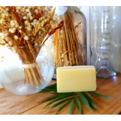 Savon Bio L'essentiel 100g Roche Mara